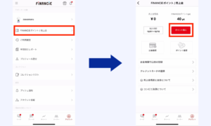 フィナンシェポイント購入画像