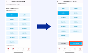 フィナンシェポイント購入画像